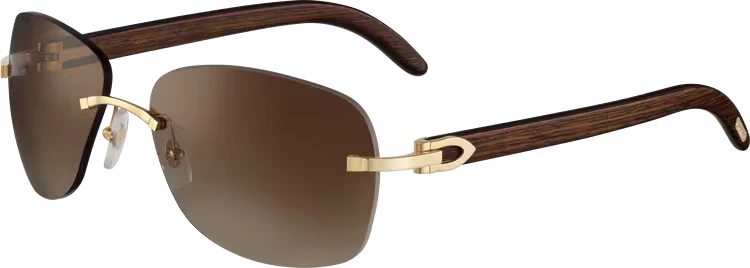 SIGNATURE C DE ca SUNGLASSES