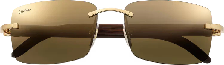 C DE ca SIGNATURE SUNGLASSES