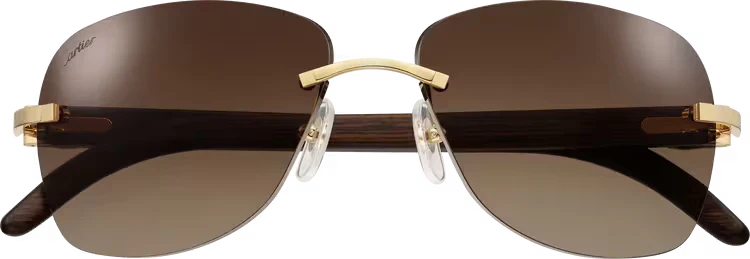 SIGNATURE C DE ca SUNGLASSES