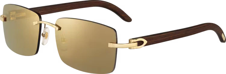 C DE ca SIGNATURE SUNGLASSES